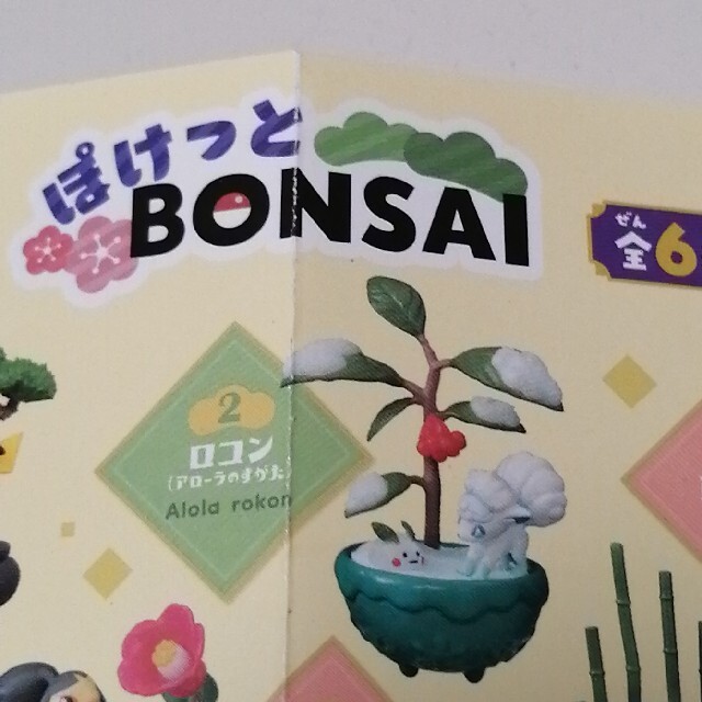 ポケモン(ポケモン)のぽけっとBONSAI アローラロコン エンタメ/ホビーのフィギュア(アニメ/ゲーム)の商品写真