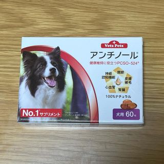 犬用アンチノール 60粒 1箱(犬)
