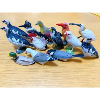 カイヨウドウ(海洋堂)の海洋堂  フィギュア  鳥13点セット(フィギュア)