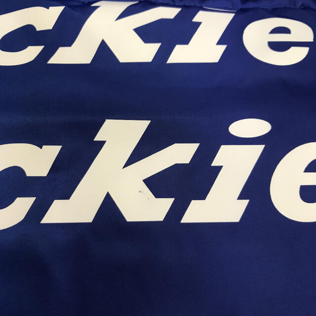 Dickies(ディッキーズ)のDickies ディッキーズ ダウンジャケット メンズのジャケット/アウター(ダウンジャケット)の商品写真