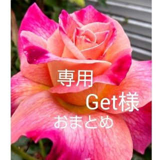 Get様　専用　おまとめ(ネックレス)