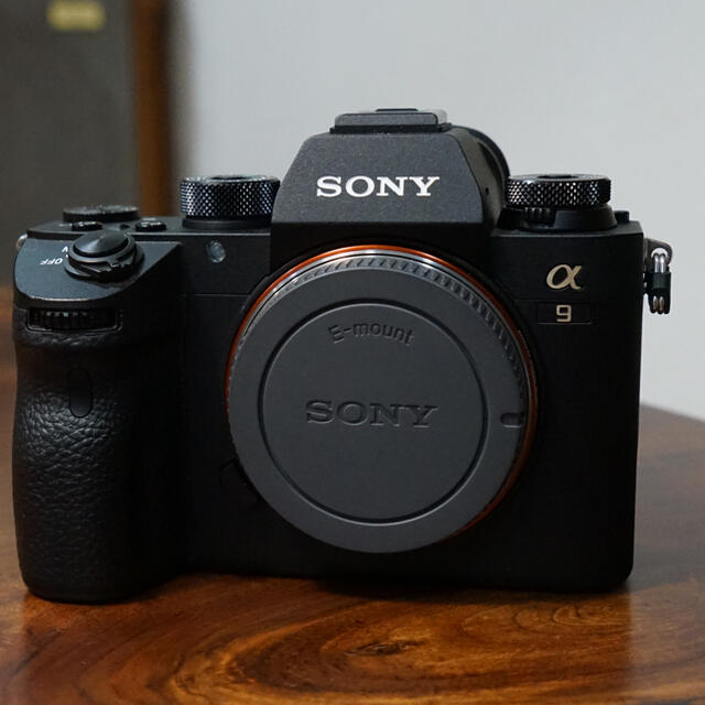 SONY α9 かなり綺麗です。デジタル一眼