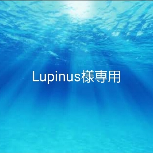 2022新作モデル Lupinus 外出用品 - sanmartinbakery.us