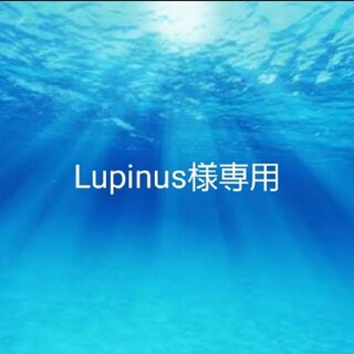 Lupinus様専用(外出用品)