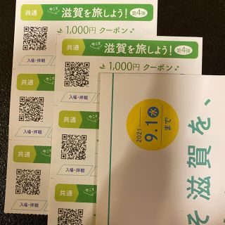 今こそ滋賀を旅しよう　第4弾   共通券6000円 しが周遊クーポン (ショッピング)