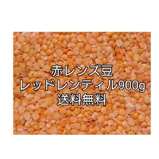 レッドレンティル900g/Red Lentil・赤レンズ豆・乾燥豆(米/穀物)