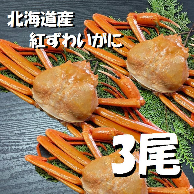 【北海道産】紅ズワイガニ　500g 3尾セット　冷凍　ボイル　ずわい　蟹食品/飲料/酒