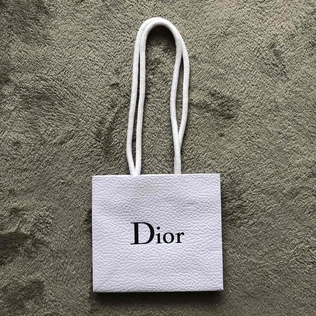 Dior(ディオール)の〜11/14 りあ様専用 レディースのバッグ(ショップ袋)の商品写真