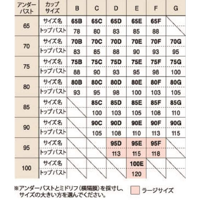 DIANA(ダイアナ)のグラントイーワンズニッパービスチェD70 レディースの下着/アンダーウェア(ブラ)の商品写真