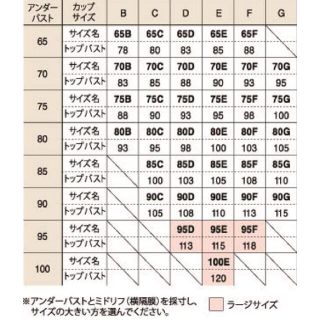 ダイアナウエストニッパー、グラントイーワンズ　大きいサイズ2セット