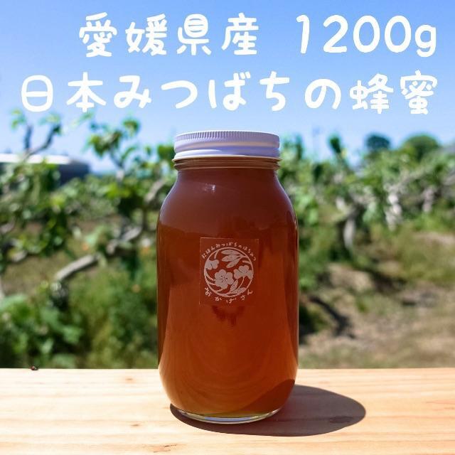 日本ミツバチの蜂蜜 1200g 純粋100% ”おかげさん” 愛媛県産 日本ミツバチの蜂蜜 1200g 純粋100% ”おかげさん” 愛媛県産