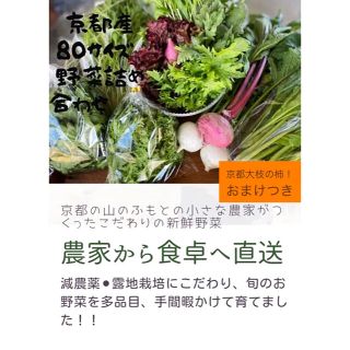 期間限定！柿入り　朝採り野菜を直送！！野菜おまかせセット(野菜)