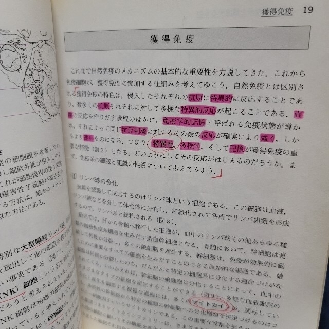 免疫学への招待 エンタメ/ホビーの本(文学/小説)の商品写真
