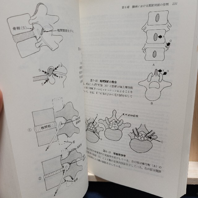 腰痛症 原著第５版 エンタメ/ホビーの本(健康/医学)の商品写真