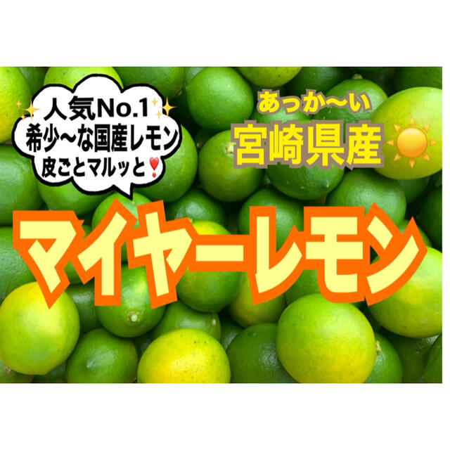 【希少な国産レモン】マイヤーレモン2㎏（送料込み）/レモン　みかん　蜜柑　果物 食品/飲料/酒の食品(フルーツ)の商品写真