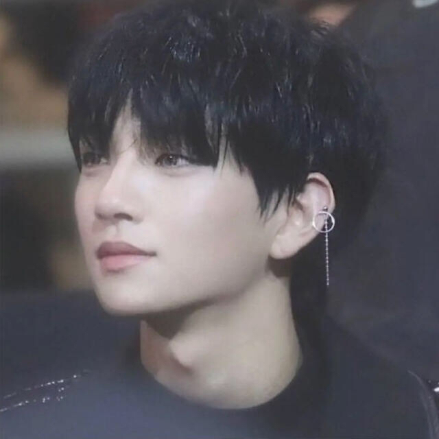 SEVENTEEN セブチ ジョシュア着用ピアス SVT SEVENTEEN セブチ ジョシュア着用ピアス SVT