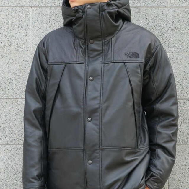 THE NORTH FACE(ザノースフェイス)のginrhyme1979さま　専用 メンズのジャケット/アウター(ダウンジャケット)の商品写真