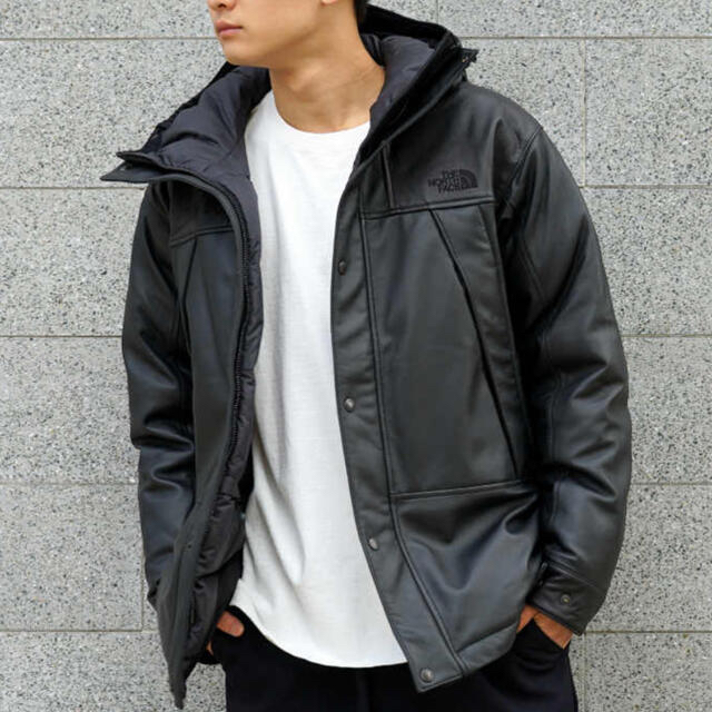 THE NORTH FACE(ザノースフェイス)のginrhyme1979さま　専用 メンズのジャケット/アウター(ダウンジャケット)の商品写真