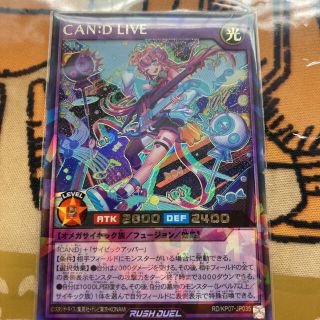 【ARS鑑定10】CAN:D LIVE ラッシュレア 遊戯王ラッシュデュエル