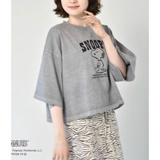 スヌーピー(SNOOPY)のスヌーピー  PEANUTS ピーナッツ　Tシャツ　半袖　トップス　グレー　秋(Tシャツ(半袖/袖なし))