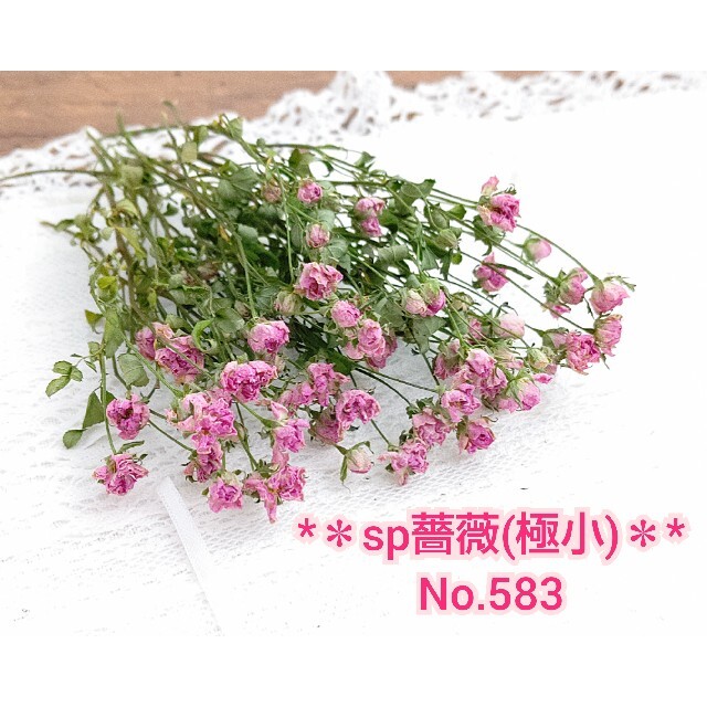 【即購入可】スプレー 薔薇 * 極小 * ドライフラワーセット No.583