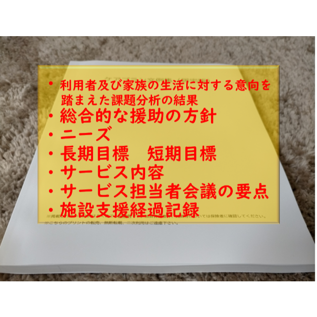 （施設版）ケアプラン文例・記入例　 ハンドメイドのハンドメイド その他(その他)の商品写真