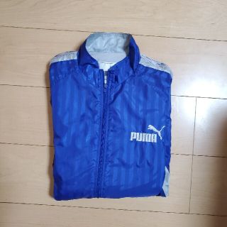 プーマ(PUMA)のキッズウィンドブレーカー(ジャケット/上着)