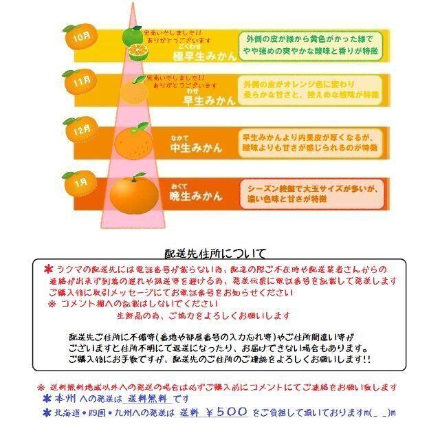 みかん 10kg🍊ご家庭用 訳あり 不選別 湯河原みかん 10キロ. 食品/飲料/酒の食品(フルーツ)の商品写真