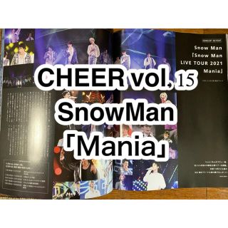 ジャニーズ(Johnny's)のＣＨＥＥＲ エンターテインメントを応援するカルチャーマガジン Ｖｏｌ．１５(アイドルグッズ)