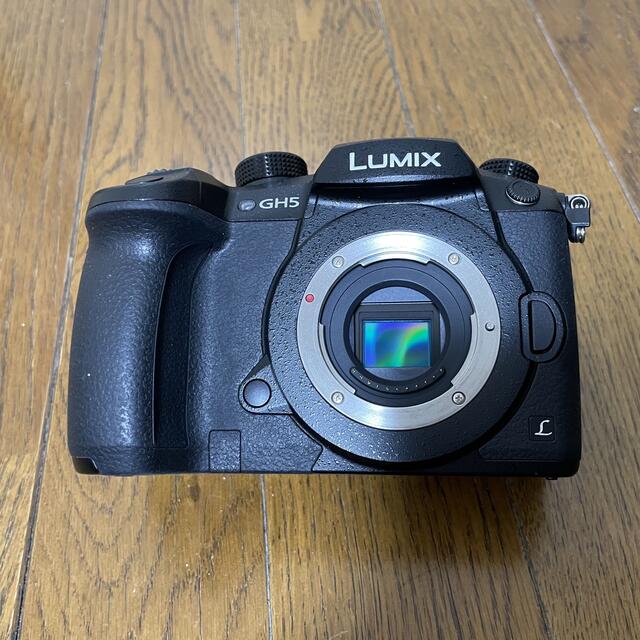 Panasonic(パナソニック) / LUMIX(ルミックス) DC-GH5