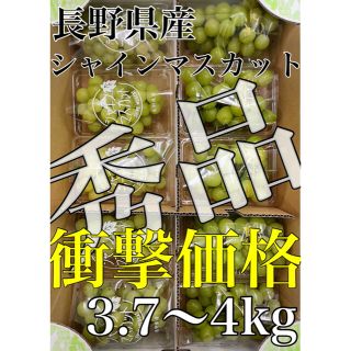 超お得用！長野県産【シャインマスカット】秀品10パック約3.7〜4kg(フルーツ)