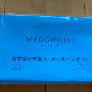 ウェッジウッド(WEDGWOOD)のGLOW 12月号　付録　WEDGWOOD 美文字万年筆&ボールペンセット(ペン/マーカー)