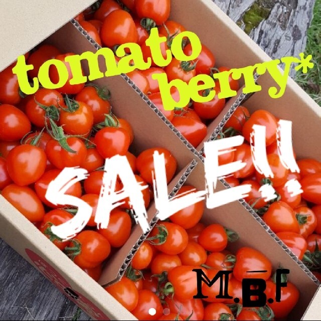 トマトベリー3kg 食品/飲料/酒の食品(野菜)の商品写真