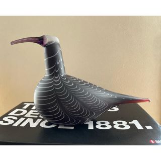 iittala - iittala イッタラオイバトイッカバードCurlewダイシャクシギ ...