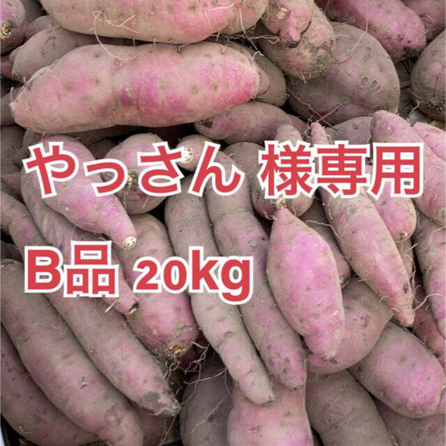 20kg　鹿児島県産　さつまいも　べにはるか　紅はるか　B品　サツマイモ