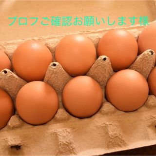 プロフご確認お願いします様専用　平飼いたまご50個(野菜)