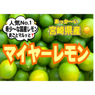 【希少な国産レモン】マイヤーレモン3㎏（送料込み）/レモン　みかん　蜜柑　果物(フルーツ)