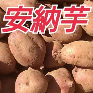 種子島産安納芋(安納紅)Ｓ～M ３キロ(野菜)