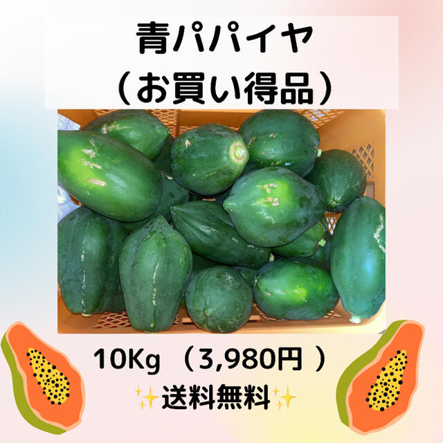 沖縄県産無農薬　青パパイヤ10Kg  食品/飲料/酒の食品(野菜)の商品写真