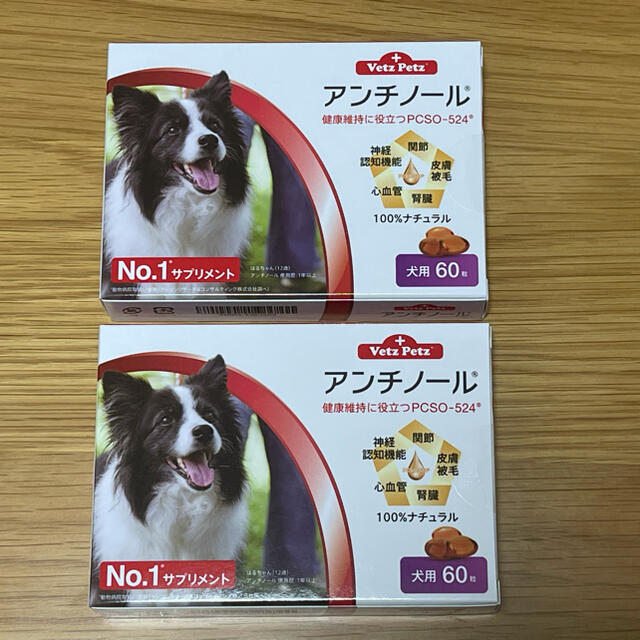 犬用アンチノール 60粒 2箱