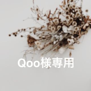 Qoo様専用(イヤリング)