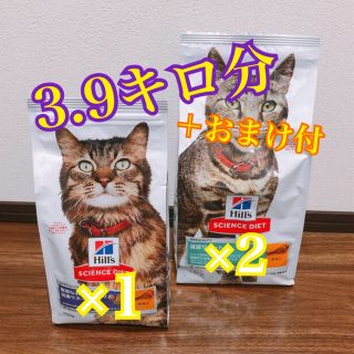 ヒルズスタイル(hills style)の【ヒルズ】猫餌 サイエンスダイエット（3点）(ペットフード)