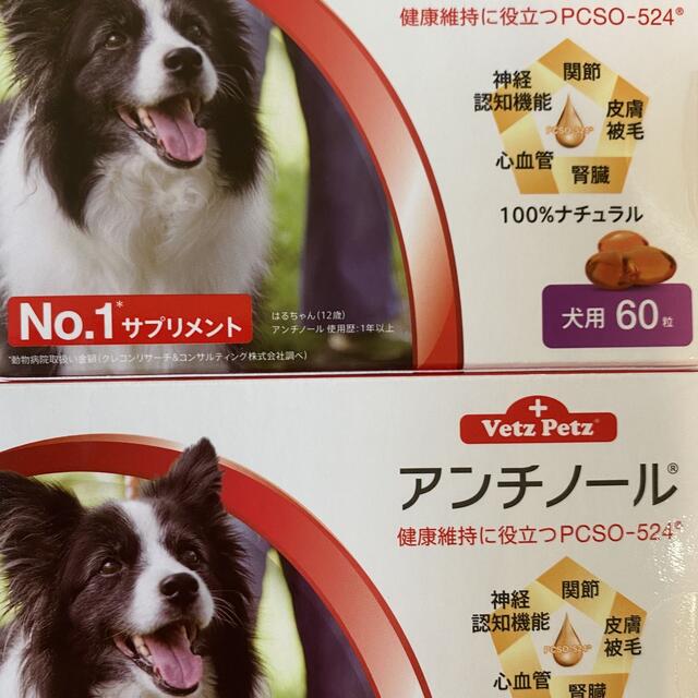 アンチノール犬用60粒2箱セット