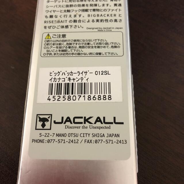 JACKALL(ジャッカル)のジャッカル ビッグバッカーライザー012SL イカナゴキャンディ スポーツ/アウトドアのフィッシング(ルアー用品)の商品写真