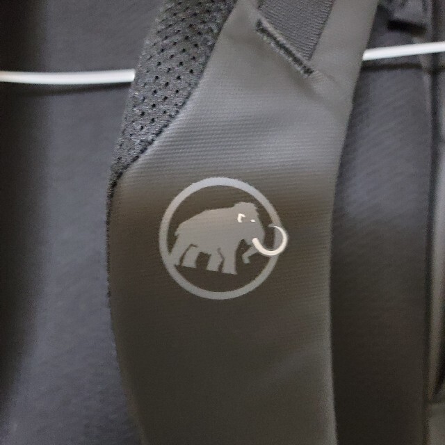 Mammut(マムート)のマムート　リュック　セオンクーリエ30　新品 メンズのバッグ(バッグパック/リュック)の商品写真