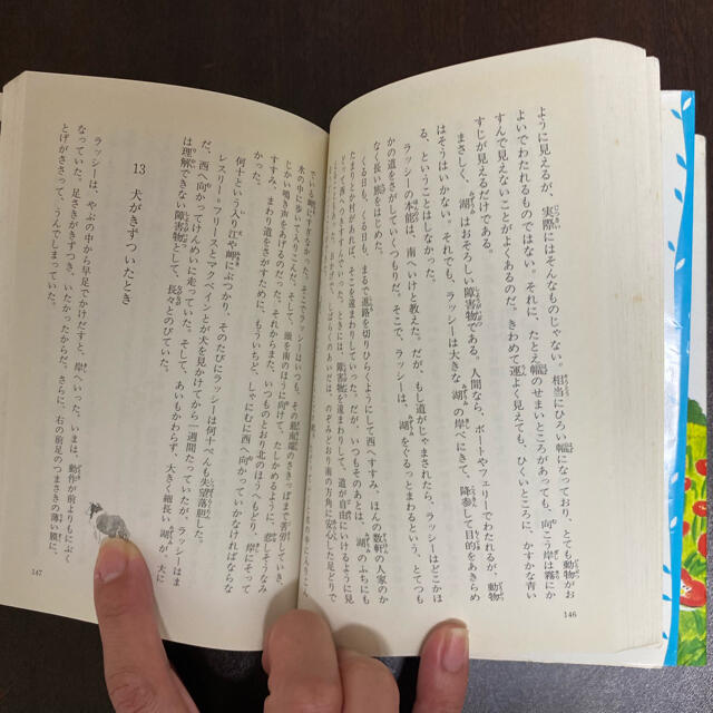 名犬ラッシ－/オズの魔法使い　２冊