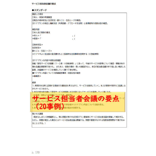 （2冊セット）ケアプラン文例【居宅版+予防版】 ハンドメイドのハンドメイド その他(その他)の商品写真