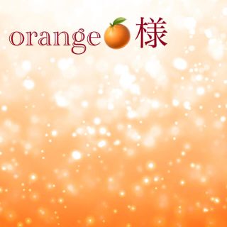 orange🍊様 専用オーダーページ(オーダーメイド)