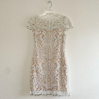 タダシショウジ(TADASHI SHOJI)のタダシショージ美品レースカップスリーブカクテルドレス　完売レアUS0(ひざ丈ワンピース)