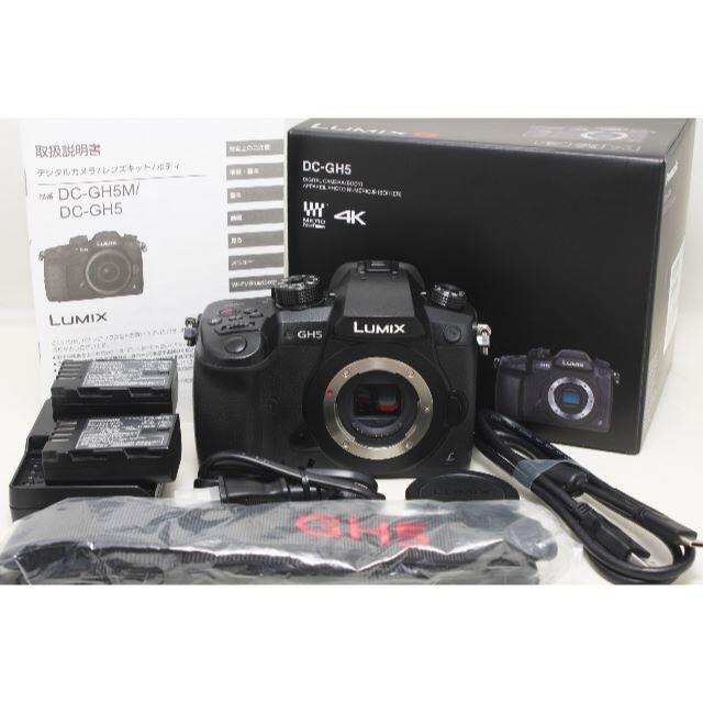 ☆バッテリー2つ☆ パナソニック DC-GH5 ブラック カメラ ☆バッテリー2つ☆ パナソニック DC-GH5 ブラック カメラ